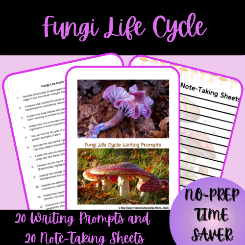 Thumbnail-Cover-Fungi-Life-Cycle-Writing-Prompts-and-Note-Taking-Sheets