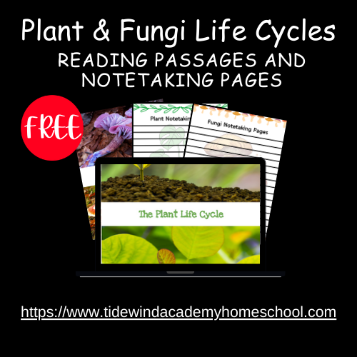 FREE Plant & Fungi Life Cycles Reading Passages with Q & A + Notetaking Pages