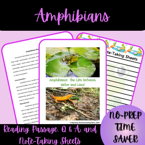 Thumbnail-Cover-Amphibians-Reading-Passage-Q-A-and-Note-Taking-Sheets
