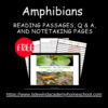 FREEBIE Amphibians Reading Passage, Q & A, and Note-Taking Sheets - Image 2