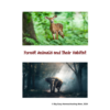 Cover-Sheet-Forest-Animals-Their-Habitats