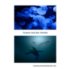 Cover-Sheet-Oceans-and-Sea-Animals-1