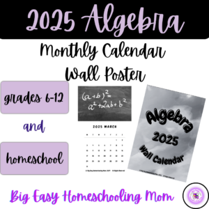 Thumbnail Cover 2025 Algebra Monthly Calendar Wall Poster